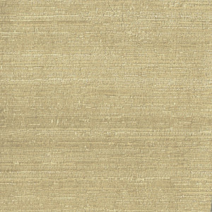 JW2024-08