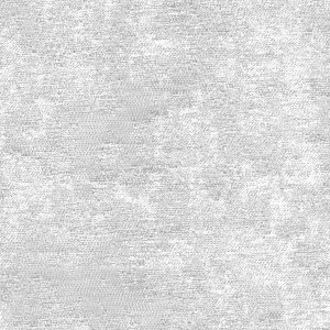 JW2081-1