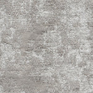 JW2081-4