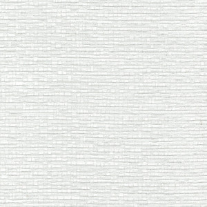 JW2089-1 JW2089-1