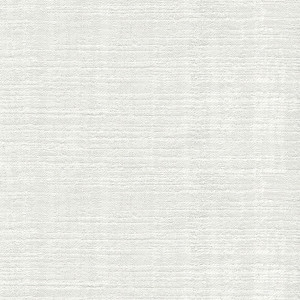 JW2091-1